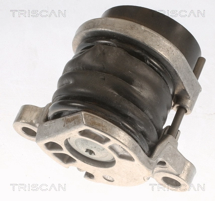 Belt Tensioner, V-ribbed belt (8641 103059)