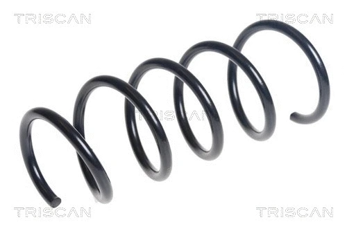 Suspension Spring (8750 25141)