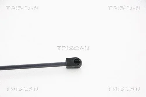 Gas Spring, boot/cargo area