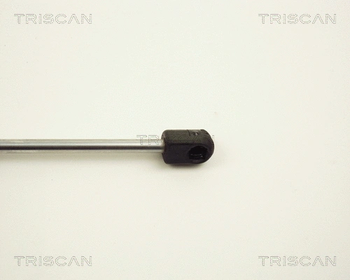 Gas Spring, boot/cargo area