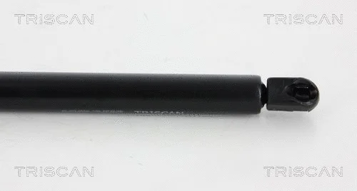 Gas Spring, boot/cargo area