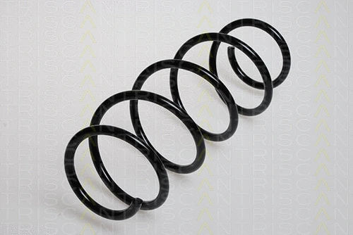 Suspension Spring (8750 29121)