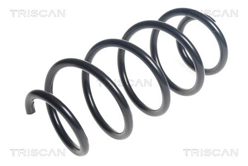 Suspension Spring (8750 29439)