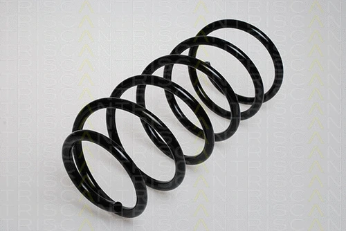 Suspension Spring (8750 2720)