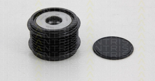 Alternator Freewheel Clutch (8641 294020)