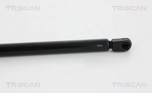 Gas Spring, boot/cargo area