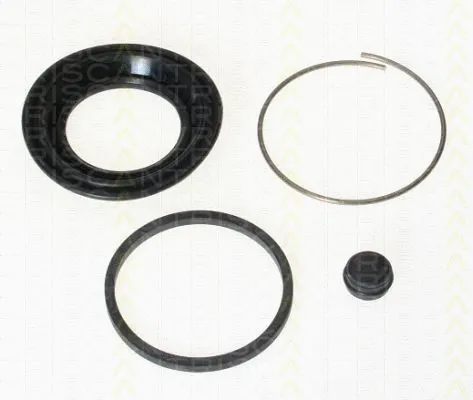 Repair Kit, brake caliper (8170 204815)