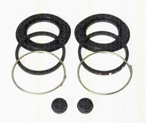 Repair Kit, brake caliper (8170 204311)