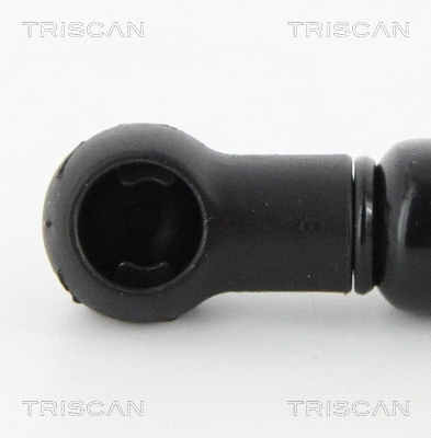 Gas Spring, boot/cargo area