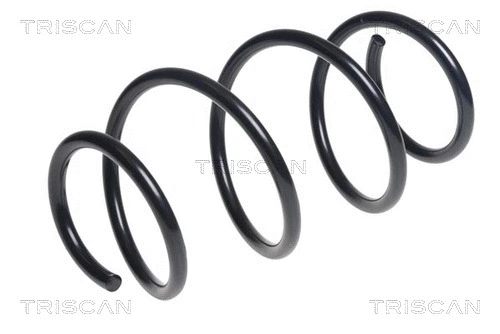 Suspension Spring (8750 11194)