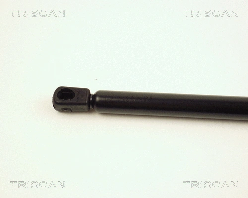 Gas Spring, boot/cargo area