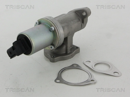 EGR Valve (8813 43100)