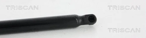 Gas Spring, boot/cargo area