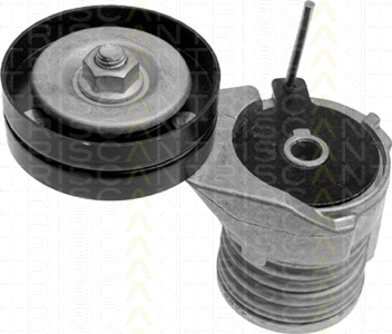 Belt Tensioner, V-ribbed belt (8641 293002)