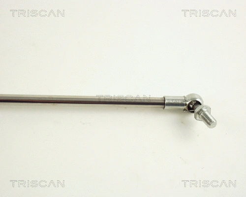 Gas Spring, boot/cargo area