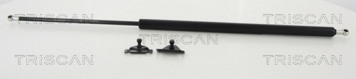 Gas Spring, boot/cargo area (8710 42233)