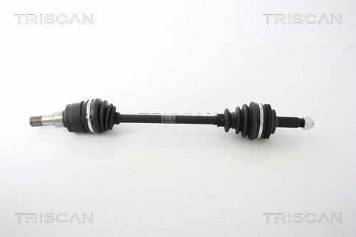 Drive Shaft (8540 13529)