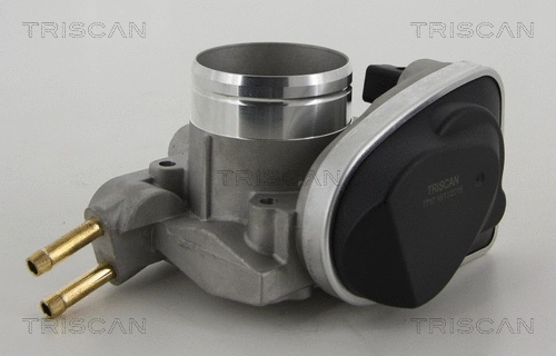 Throttle Body (8820 29004)