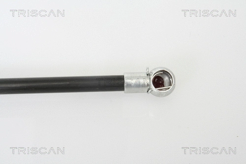 Gas Spring, boot/cargo area