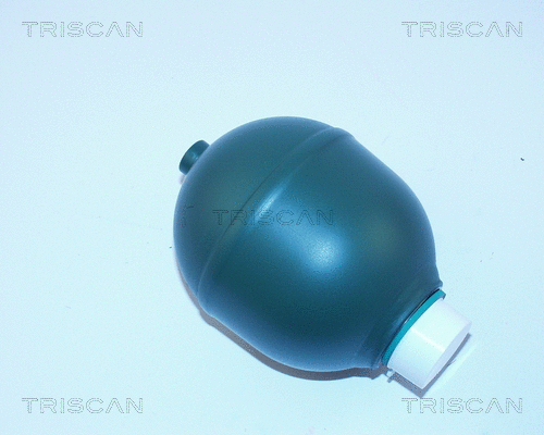 Pressure Accumulator, pneumatic suspension (8760 38206)