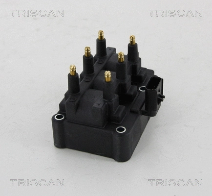 Ignition Coil (8860 80006)