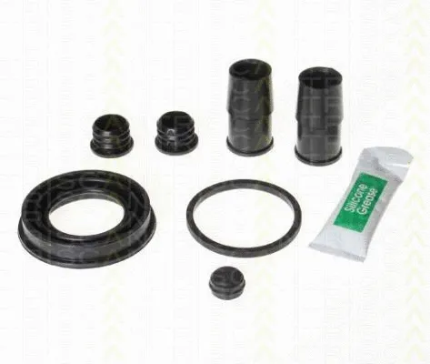 Repair Kit, brake caliper (8170 204224)