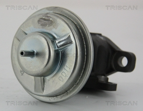EGR Valve (8813 43003)
