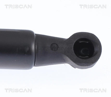 Gas Spring, boot/cargo area