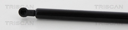 Gas Spring, boot/cargo area
