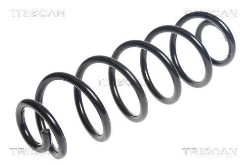 Suspension Spring (8750 29388)