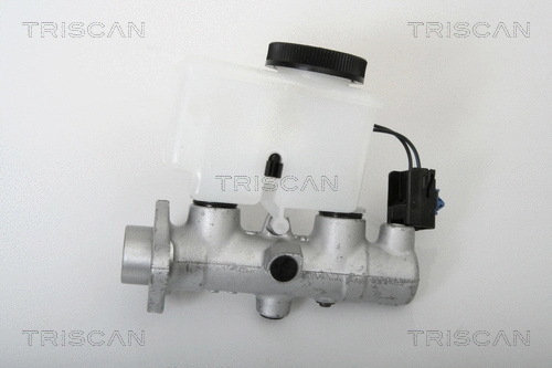 Brake Master Cylinder (8130 50119)