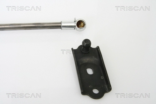 Gas Spring, boot/cargo area