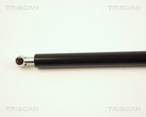 Gas Spring, boot/cargo area