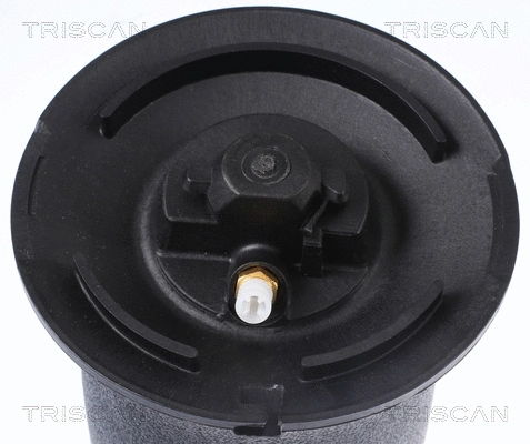 Air Spring, suspension