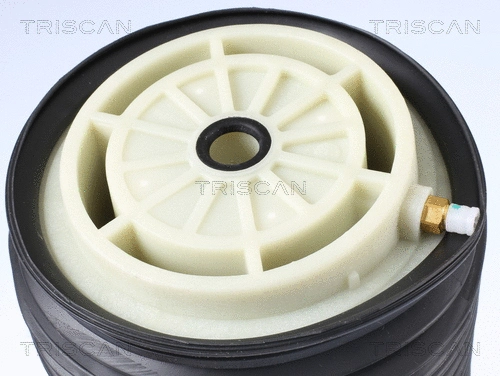 Air Spring, suspension