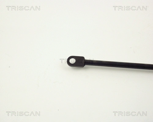 Gas Spring, boot/cargo area