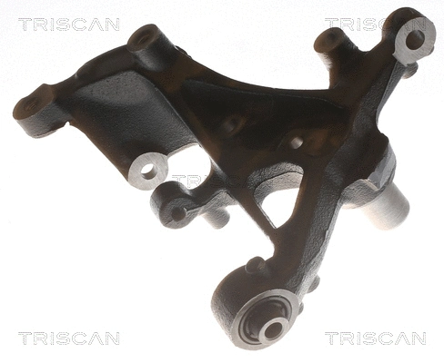 Steering Knuckle, wheel suspension (8500 29724)
