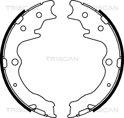 Brake Shoe Set, parking brake (8100 50003)