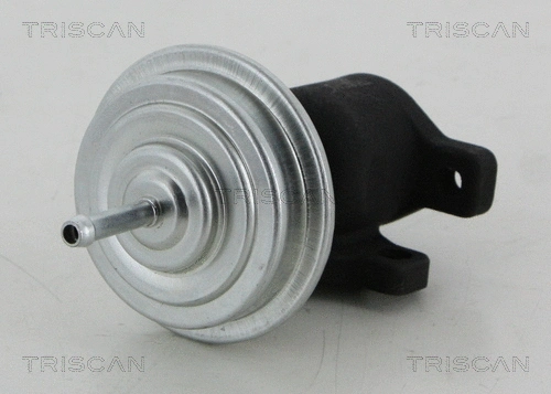 EGR Valve (8813 29053)
