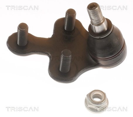 Ball Joint (8500 24587)