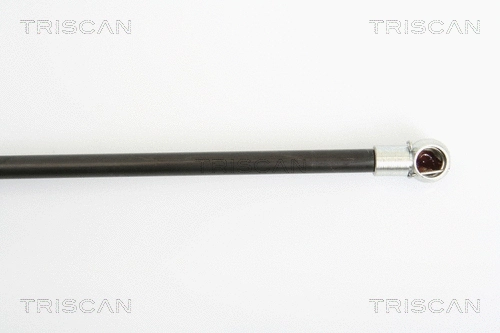 Gas Spring, boot/cargo area