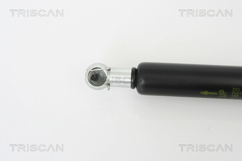 Gas Spring, boot/cargo area