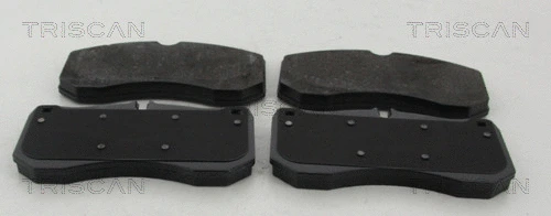 Brake Pad Set, disc brake (8110 29179)
