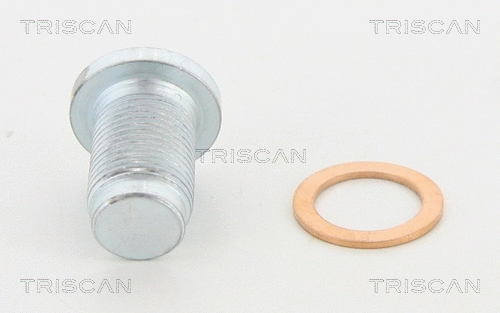 Screw Plug, oil sump (95-0978)