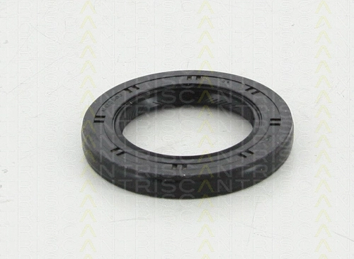 Shaft Seal, differential