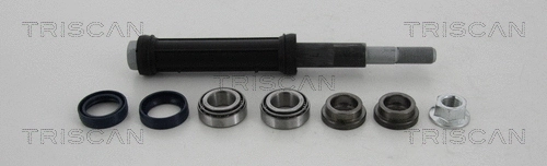 Repair Kit, control arm (8500 38401)