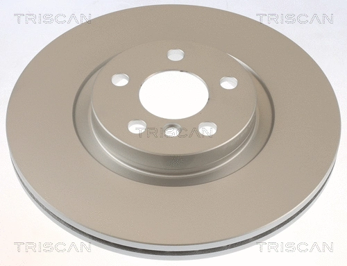 Brake Disc (8120 111069C)
