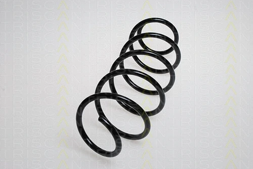 Suspension Spring (8750 28114)