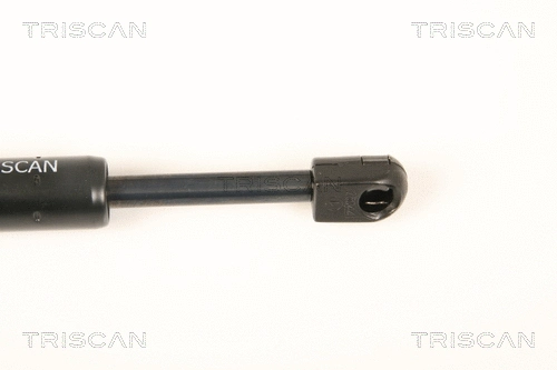 Gas Spring, bonnet