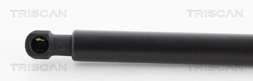 Gas Spring, boot/cargo area